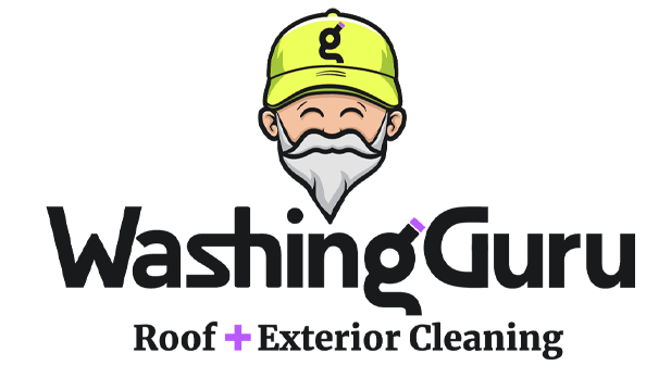 Washing Guru Logo